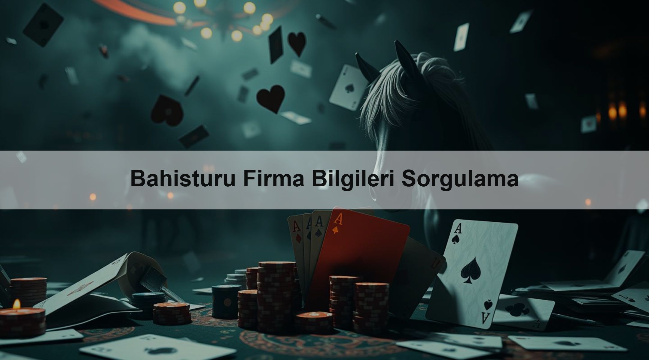 Bahisturu Firma Bilgileri Sorgulama